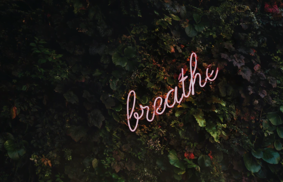 Mental Health Tips: Slay Workplace Stress for Your Team with These 5 Stress-Killing Techniques